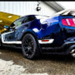 Meet your Posher, Wyatt